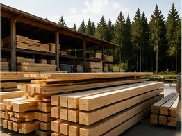 Holzlager mit Schnittholz vor Nadelwald